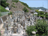 �l�E������n