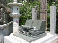 �l��n�E�v�w��n